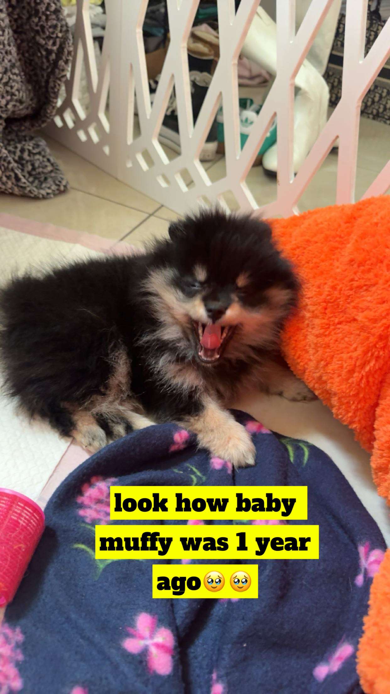 kaygcarlson snapchat image archive image