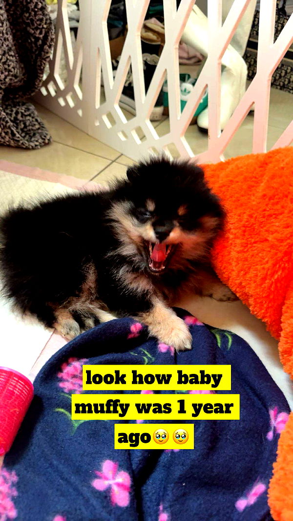 kaygcarlson image ~ Altpins