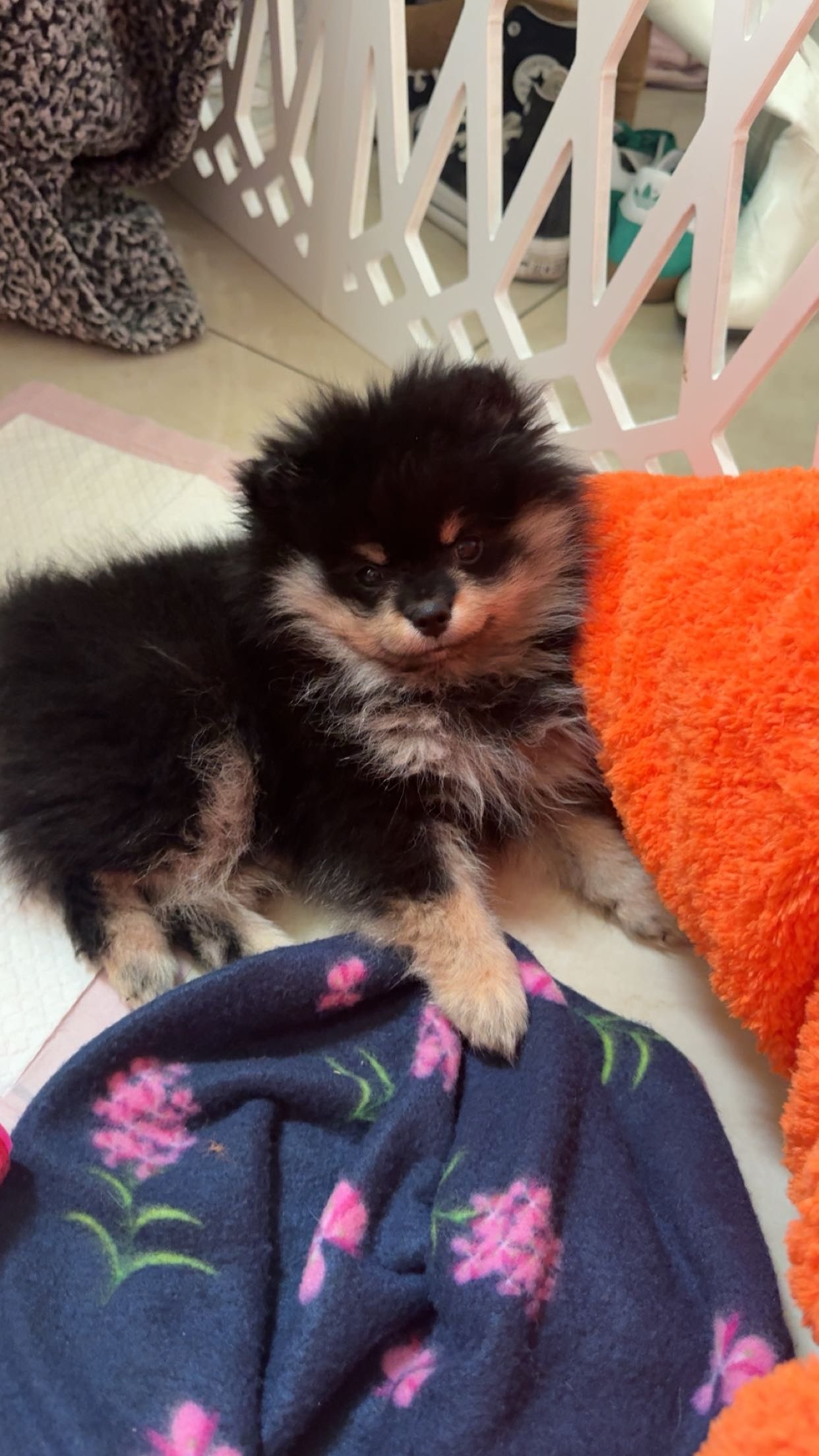 kaygcarlson snapchat image archive image