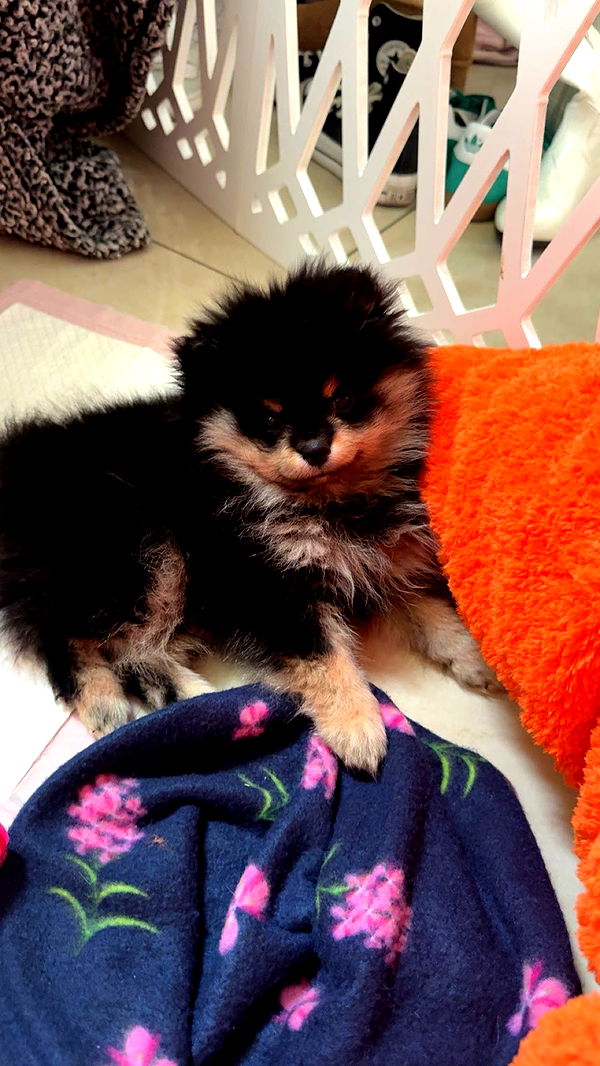 kaygcarlson image ~ Altpins