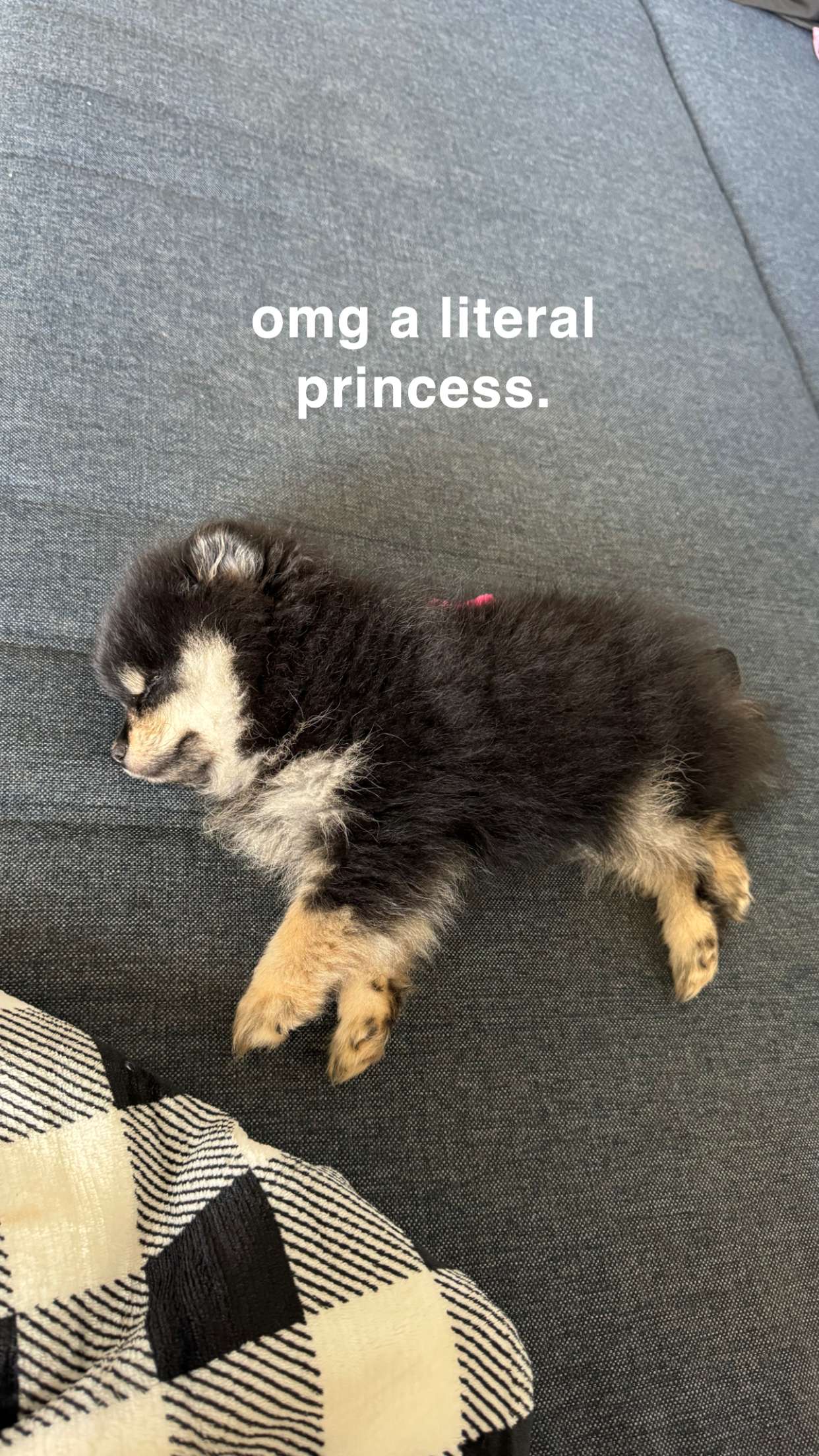 kaygcarlson snapchat image archive image