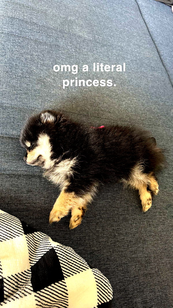 kaygcarlson image ~ Altpins