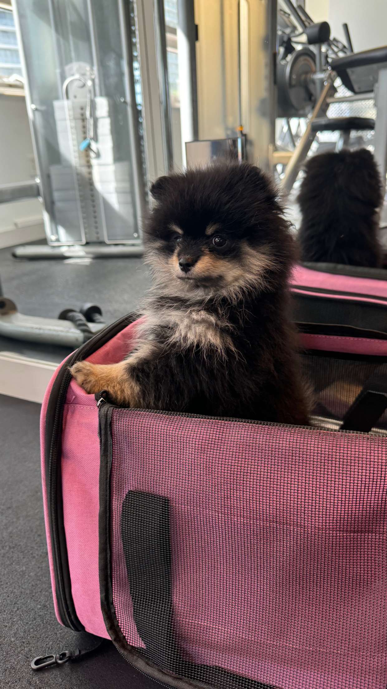 kaygcarlson snapchat image archive image