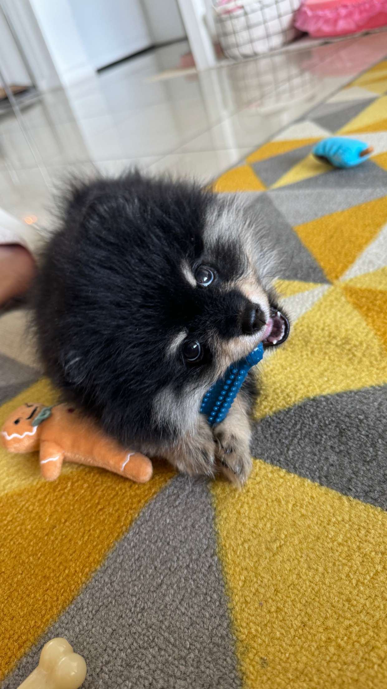 kaygcarlson snapchat image archive image