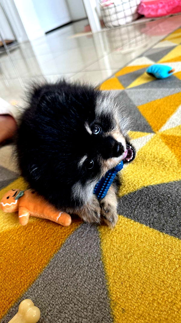 kaygcarlson image ~ Altpins