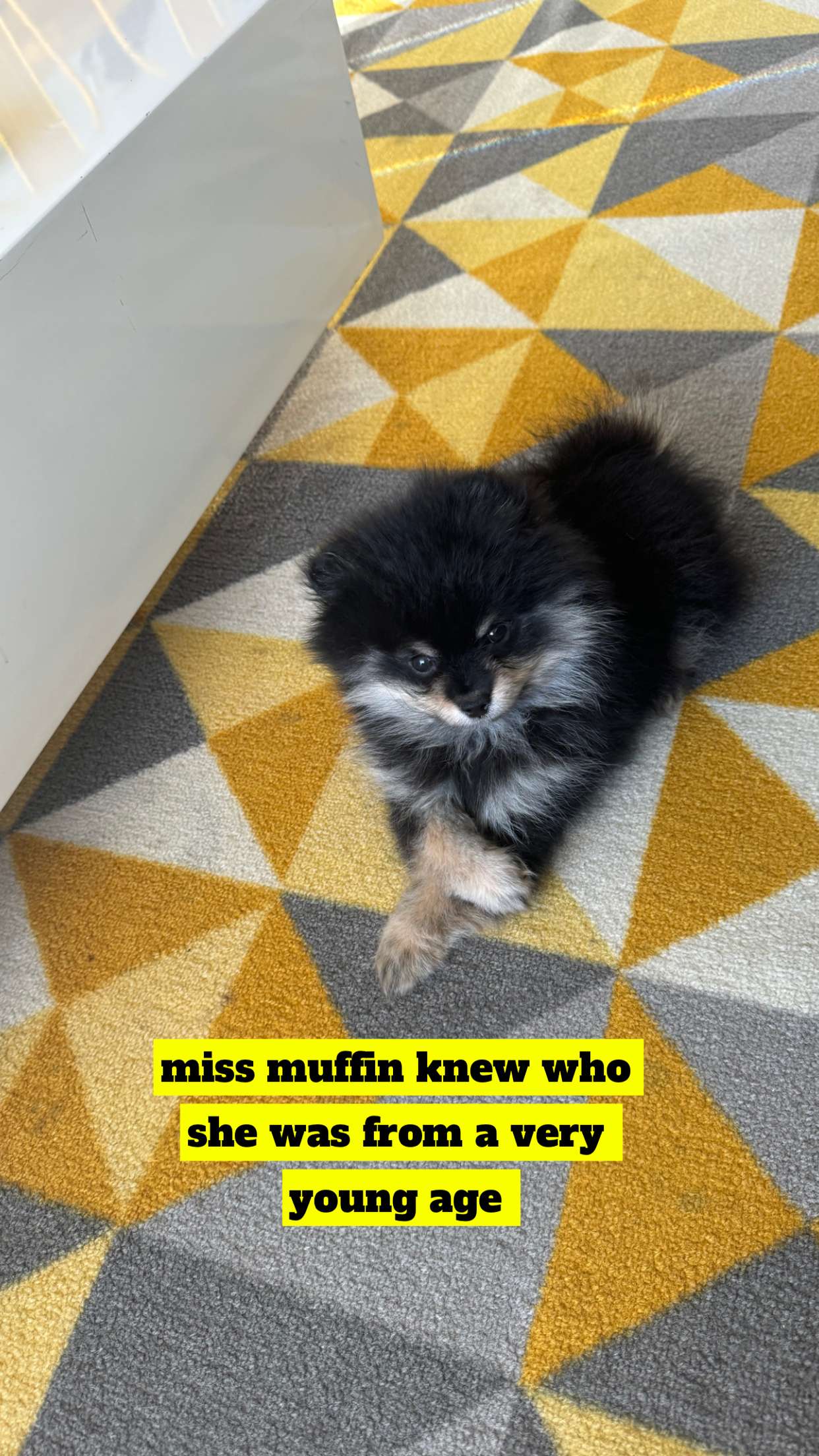 kaygcarlson snapchat image archive image