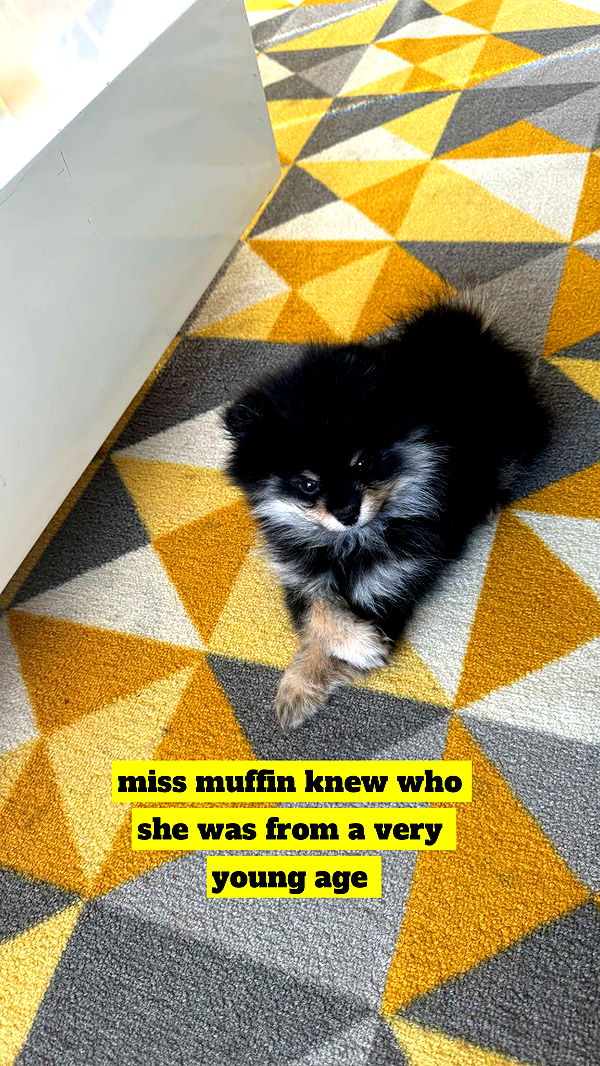 kaygcarlson image ~ Altpins