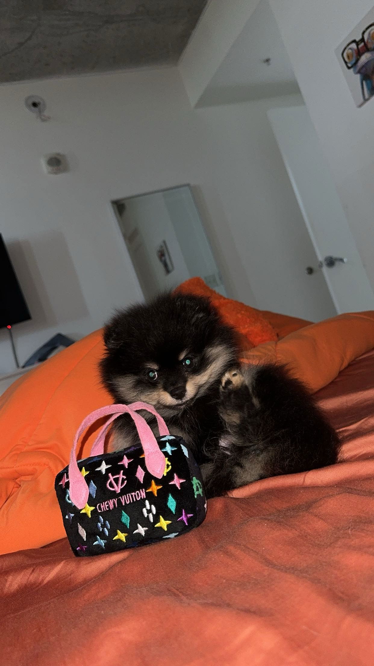 kaygcarlson snapchat image archive image