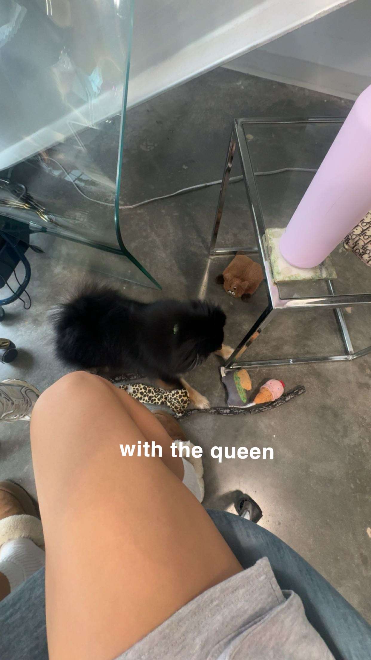 kaygcarlson snapchat image archive image