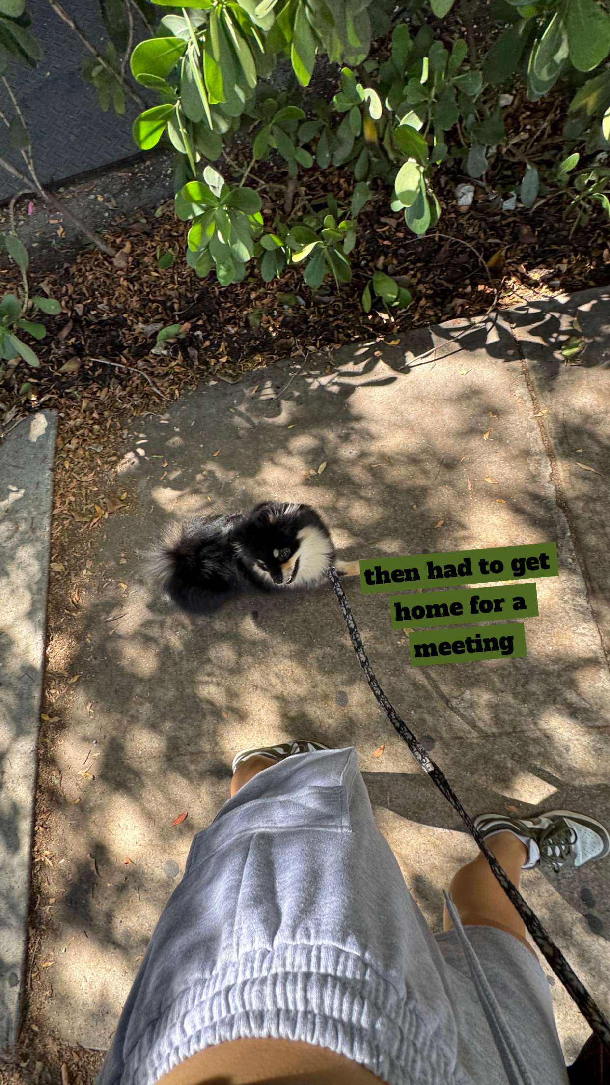 kaygcarlson snapchat image archive image