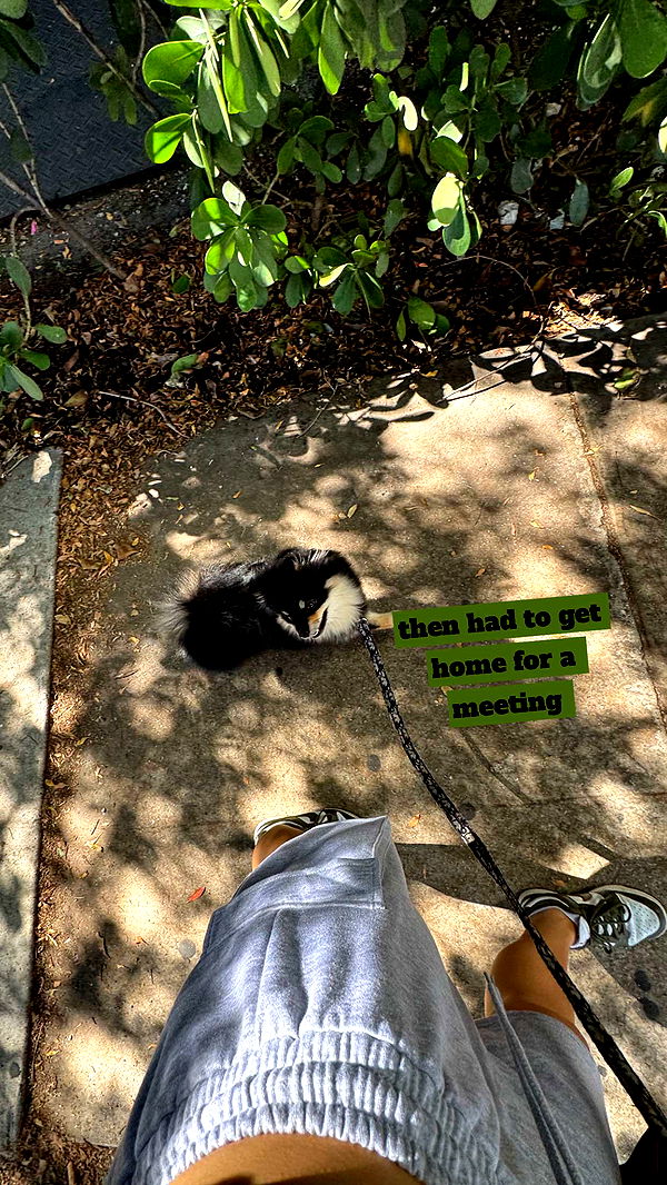 kaygcarlson image ~ Altpins