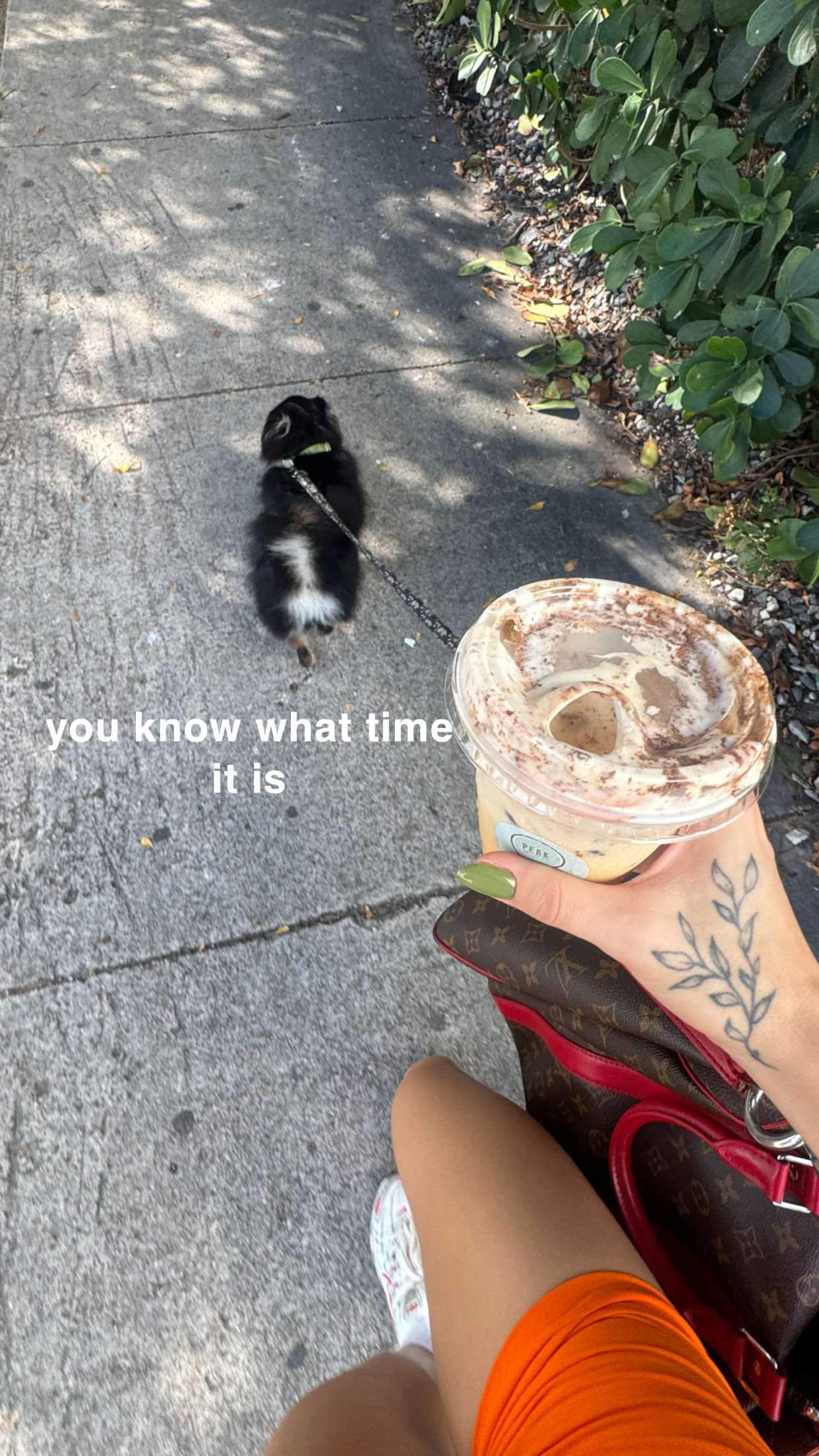 kaygcarlson snapchat image archive image