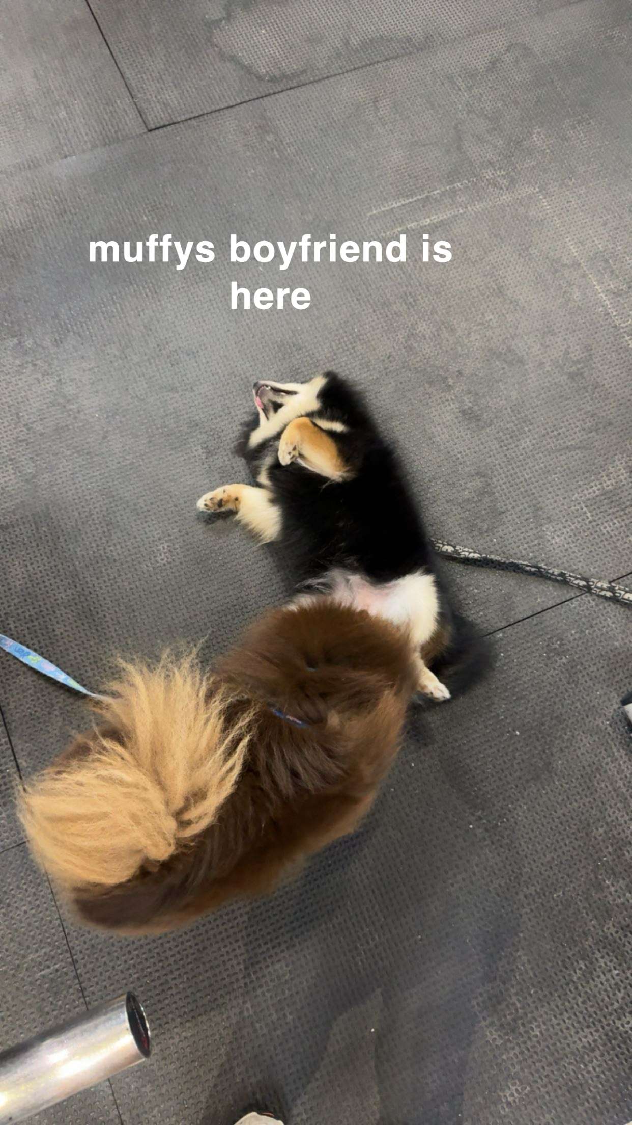 kaygcarlson snapchat image archive image