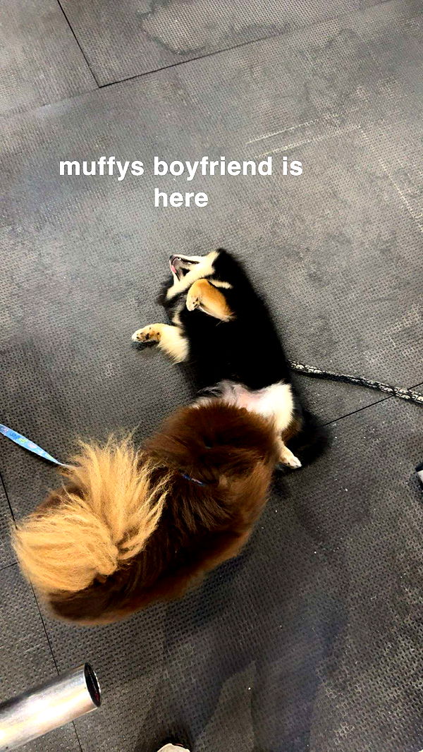 kaygcarlson image ~ Altpins