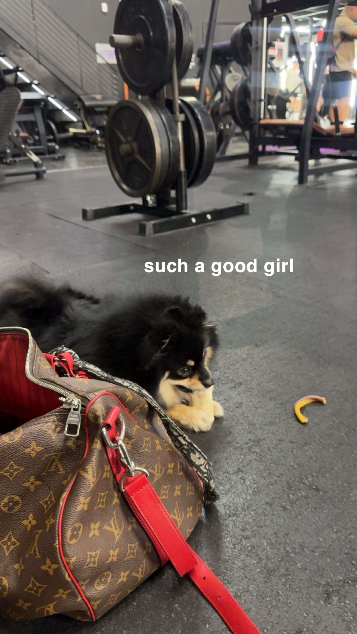 kaygcarlson snapchat image archive image