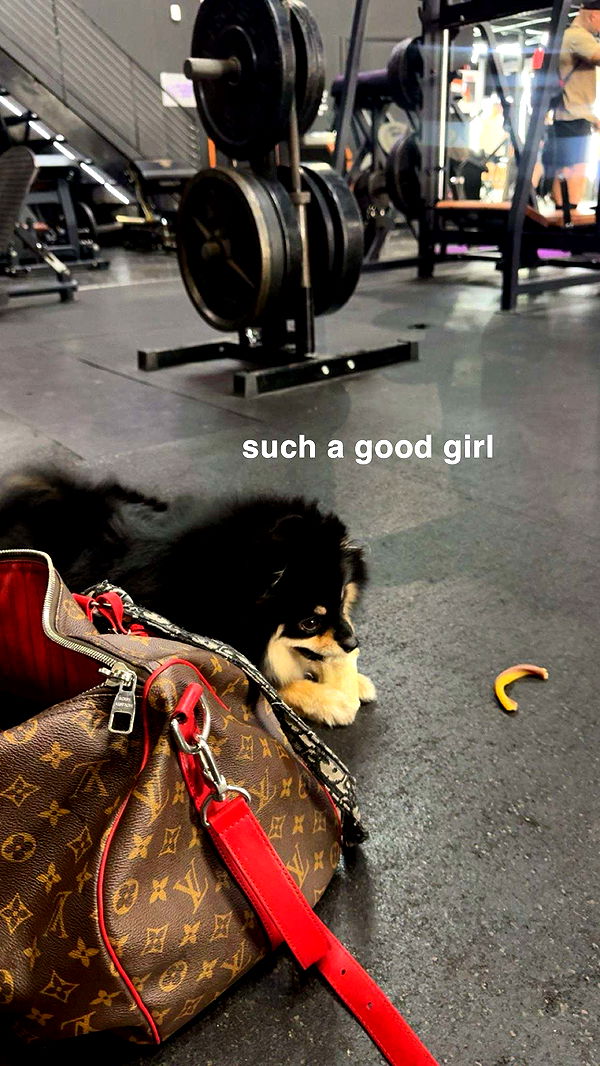 kaygcarlson image ~ Altpins