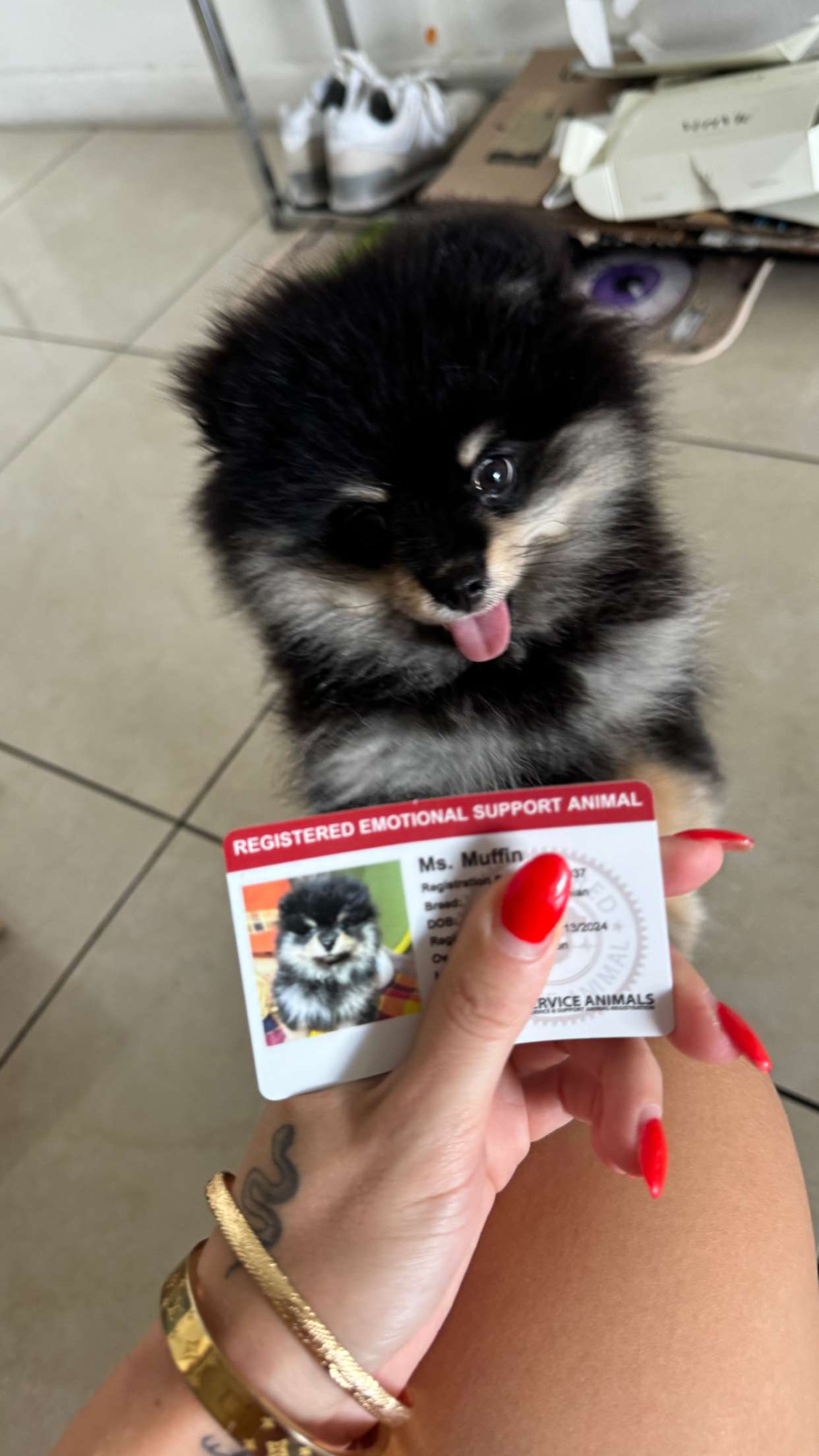 kaygcarlson snapchat image archive image