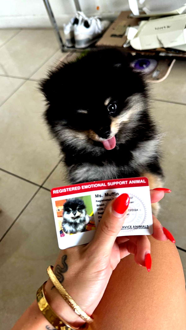 kaygcarlson image ~ Altpins