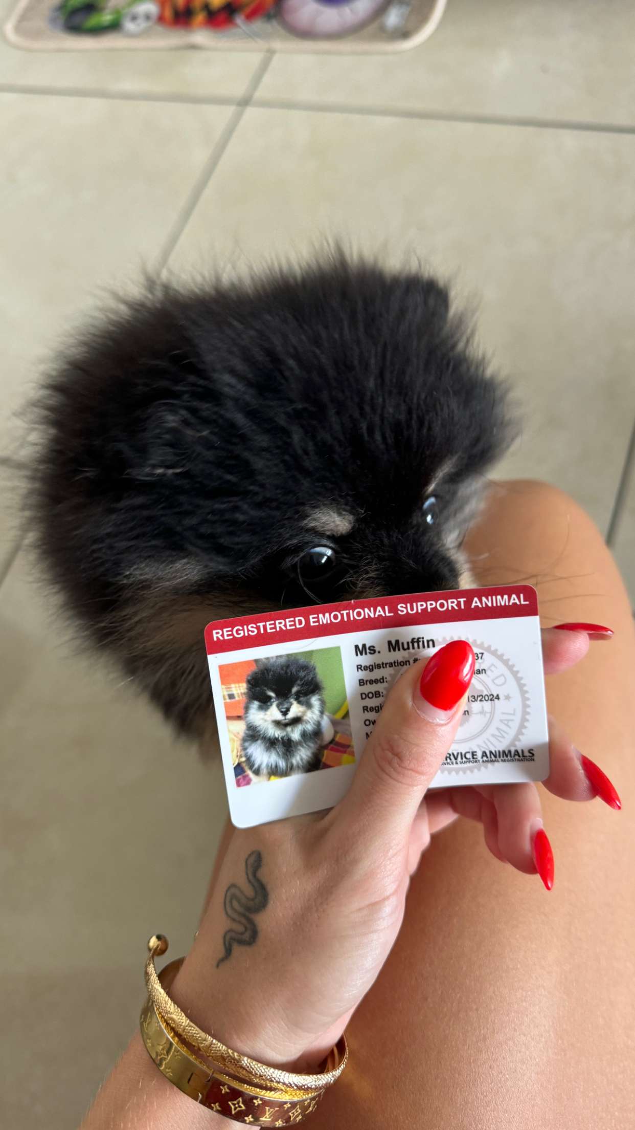 kaygcarlson snapchat image archive image