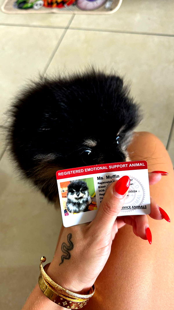 kaygcarlson image ~ Altpins