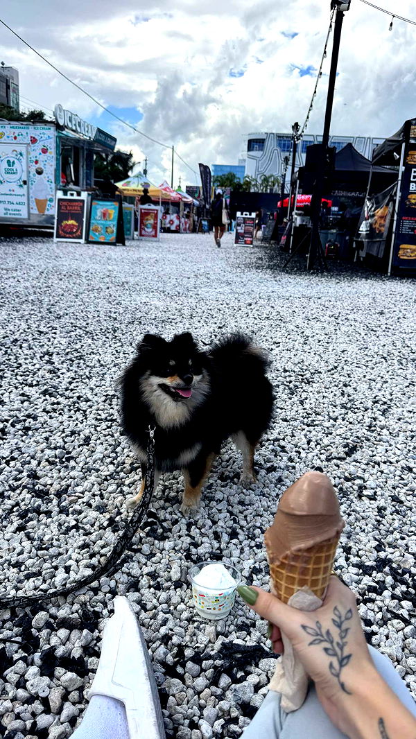 kaygcarlson image ~ Altpins