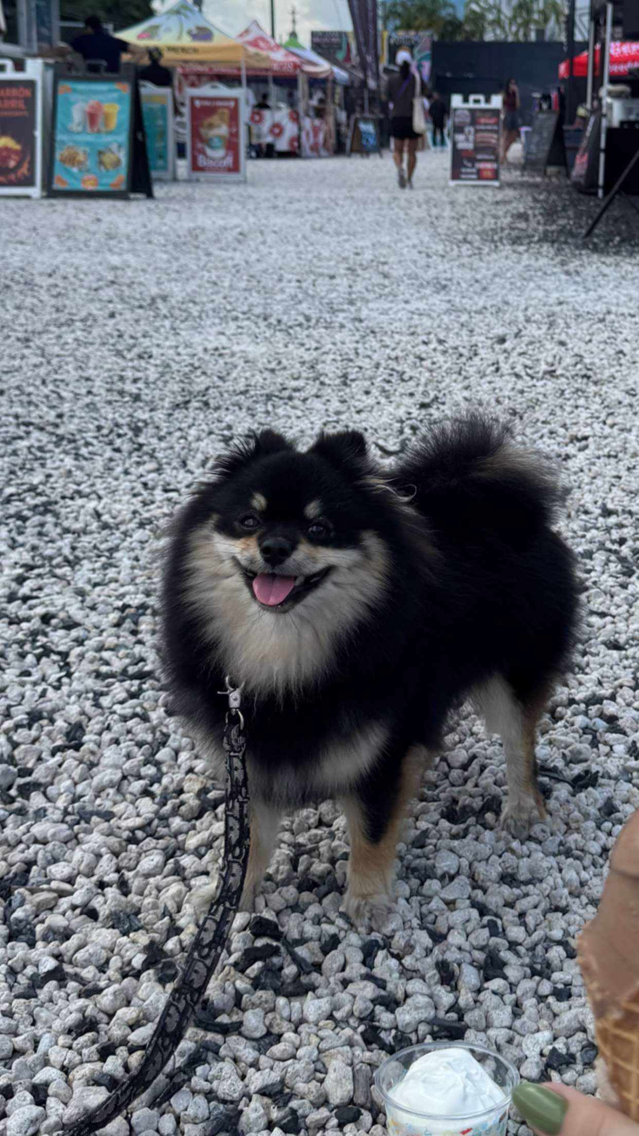 kaygcarlson snapchat image archive image