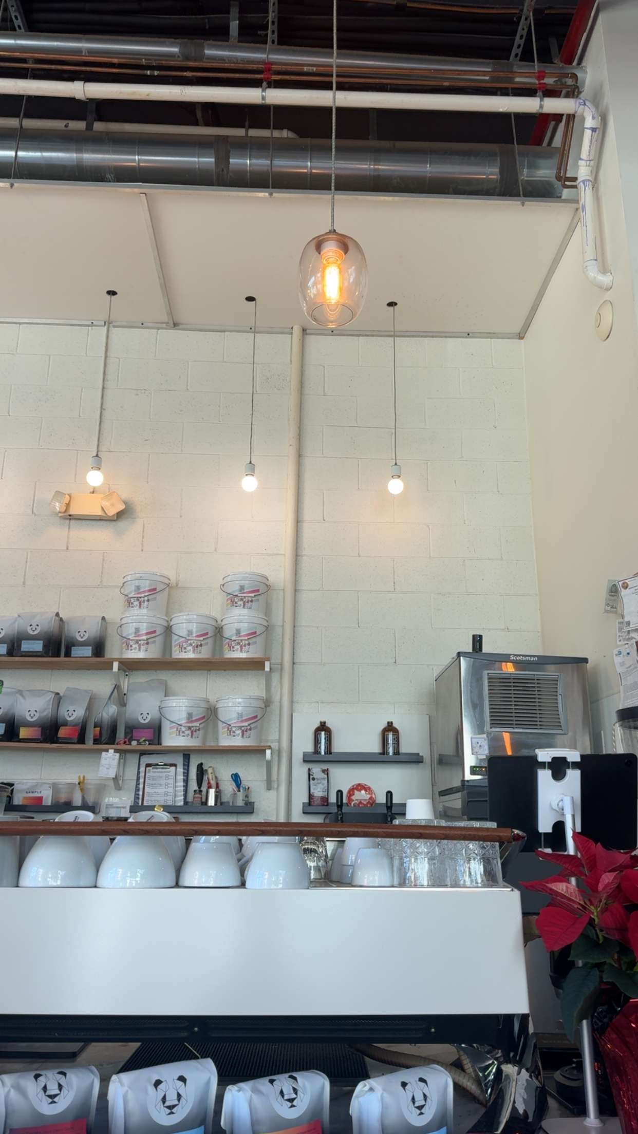 kaygcarlson snapchat image archive image