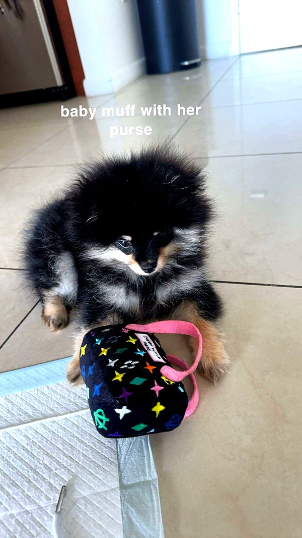 kaygcarlson image ~ Altpins