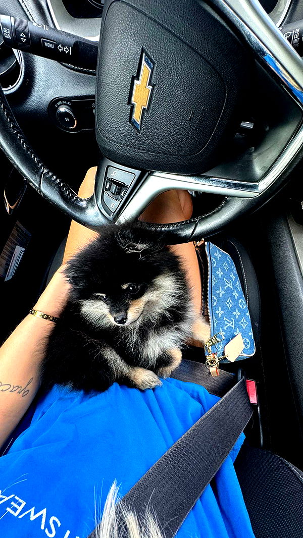 kaygcarlson image ~ Altpins