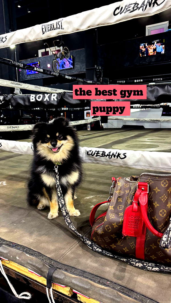 kaygcarlson image ~ Altpins