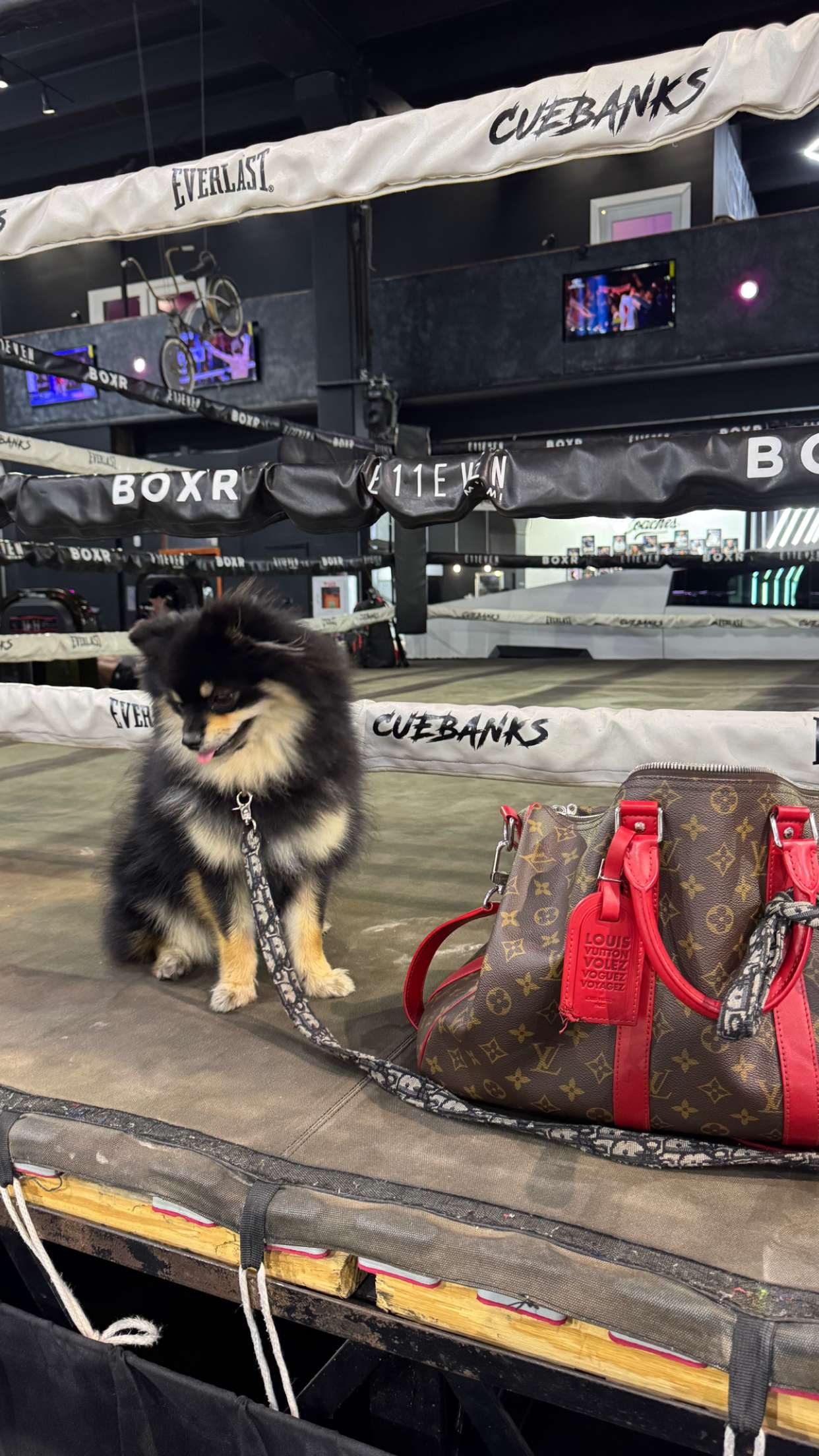 kaygcarlson snapchat image archive image