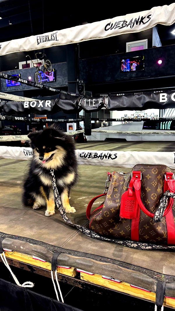 kaygcarlson image ~ Altpins