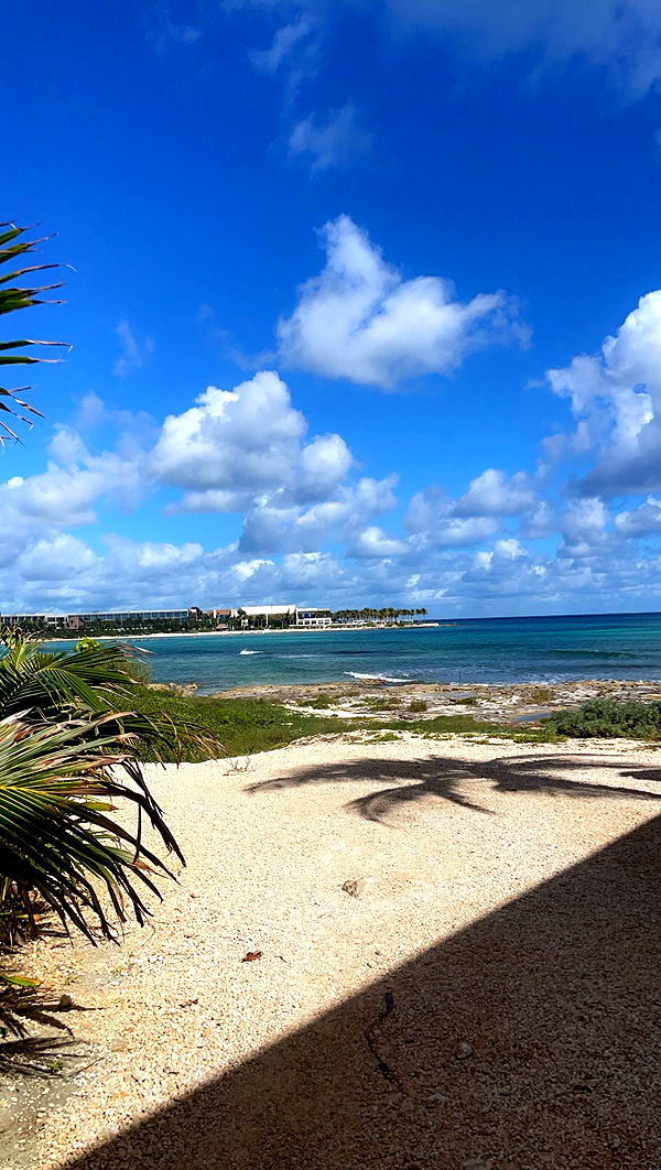 kaygcarlson image ~ Altpins