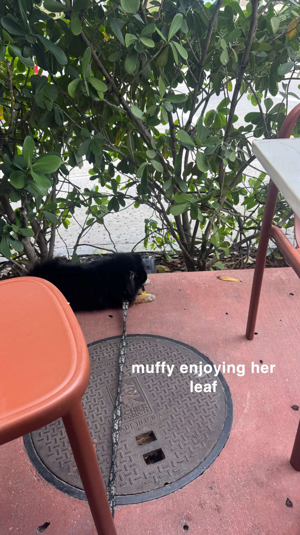 kaygcarlson snapchat image archive image