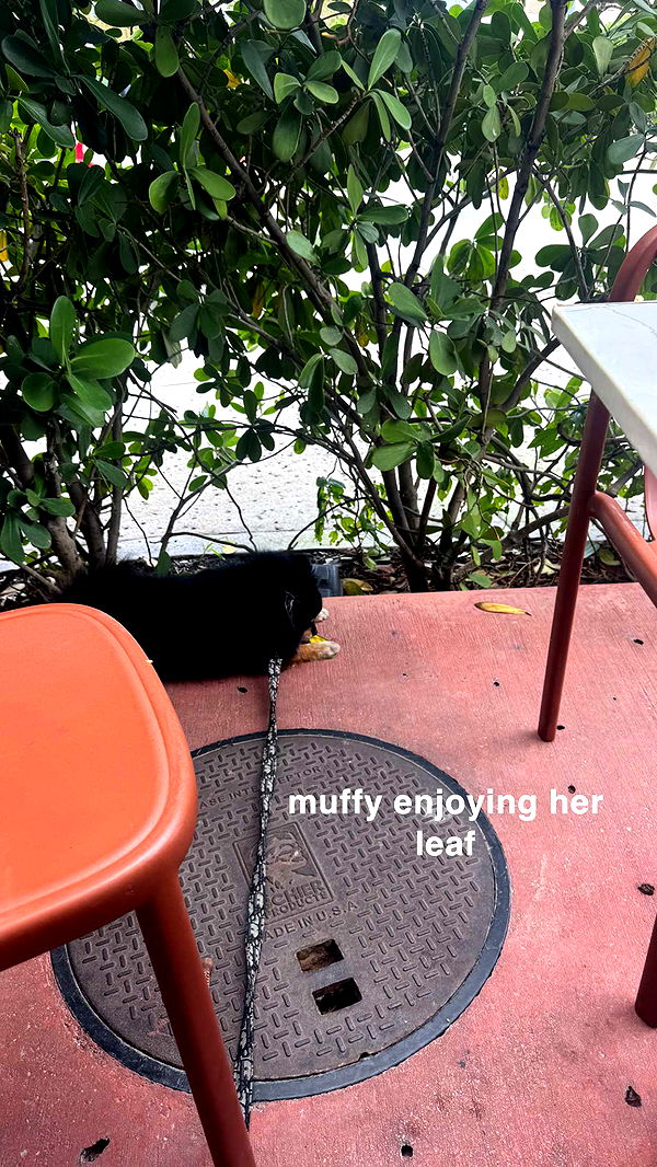 kaygcarlson image ~ Altpins