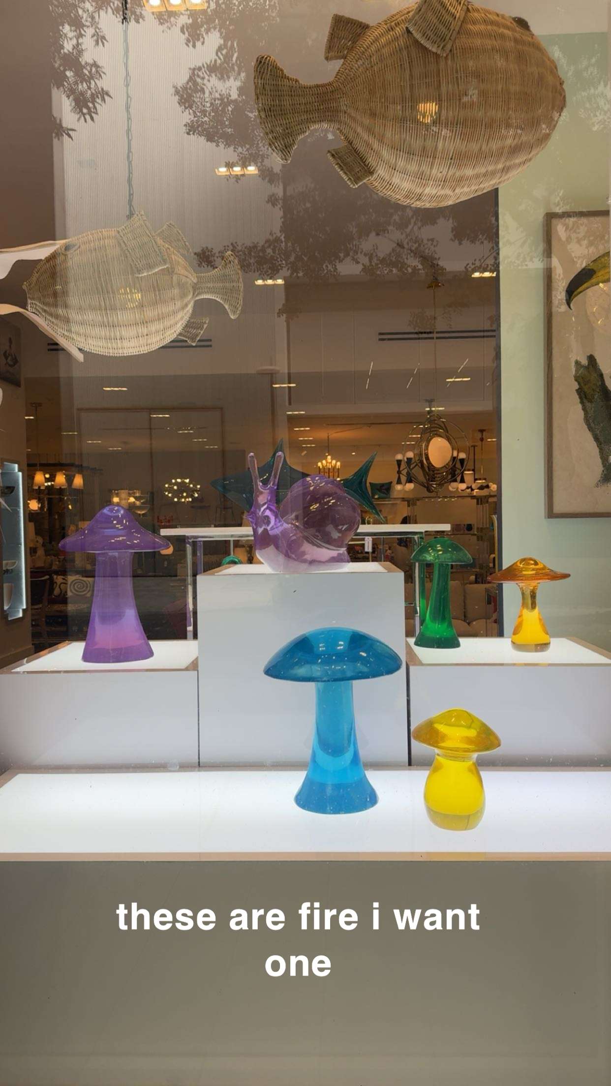 kaygcarlson snapchat image archive image