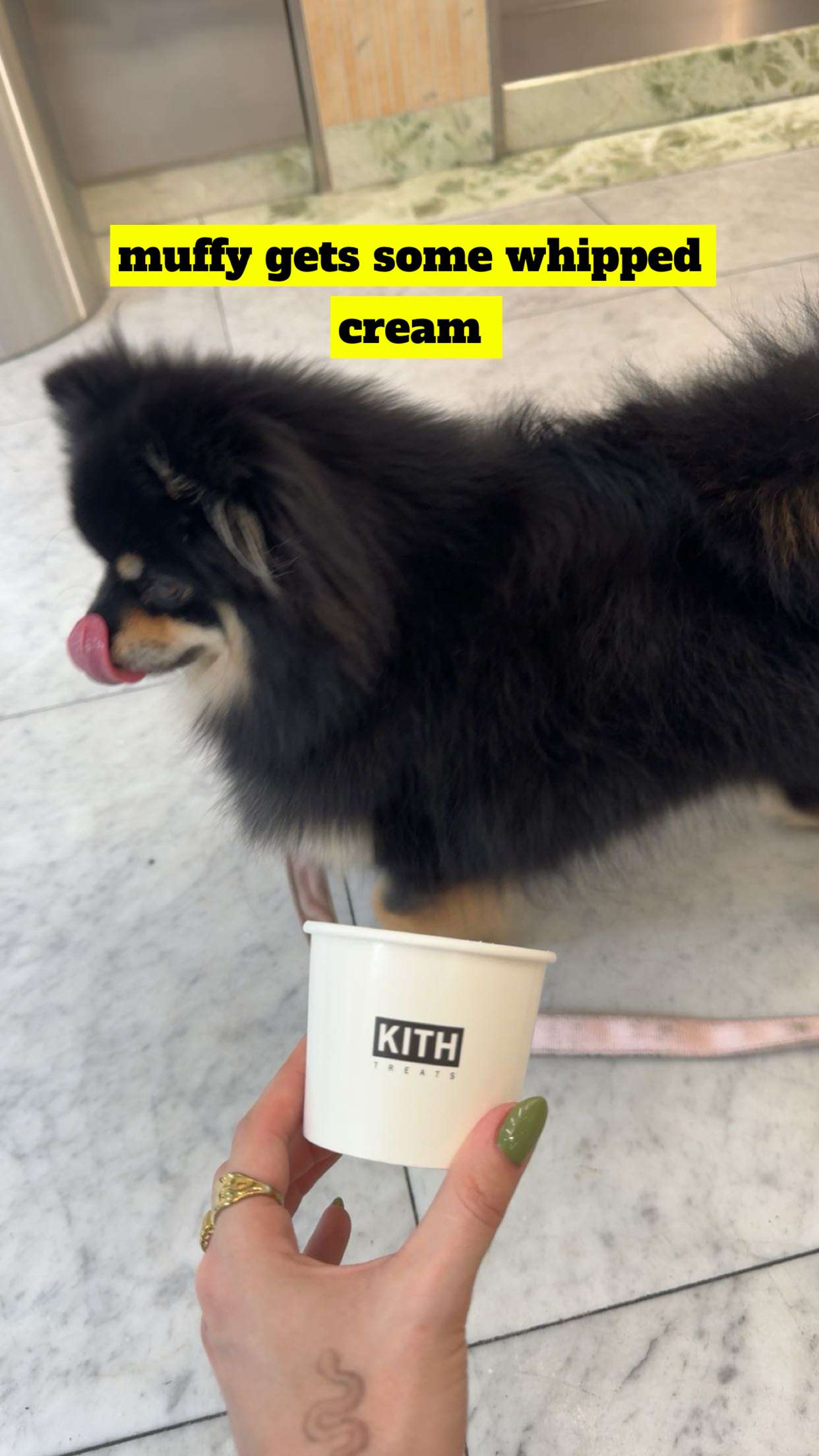 kaygcarlson snapchat image archive image