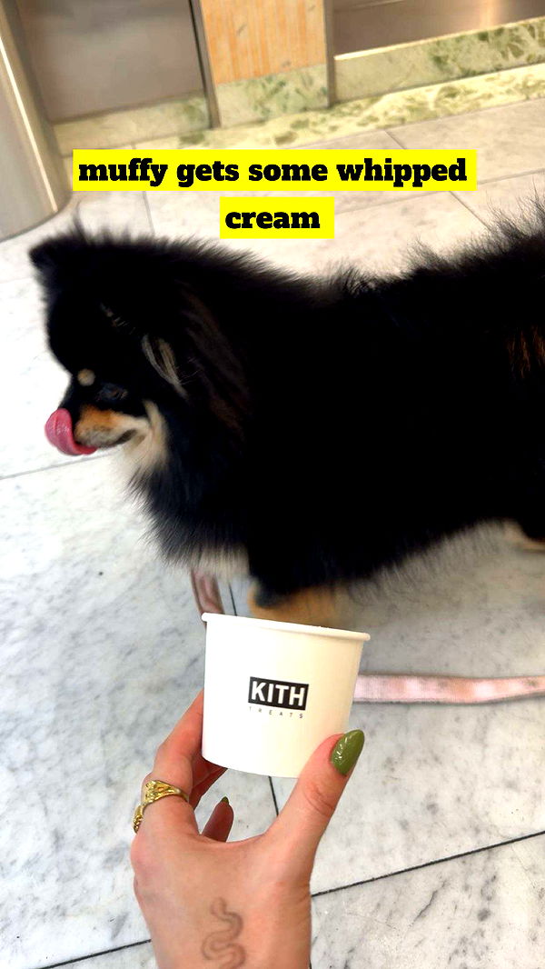 kaygcarlson image ~ Altpins