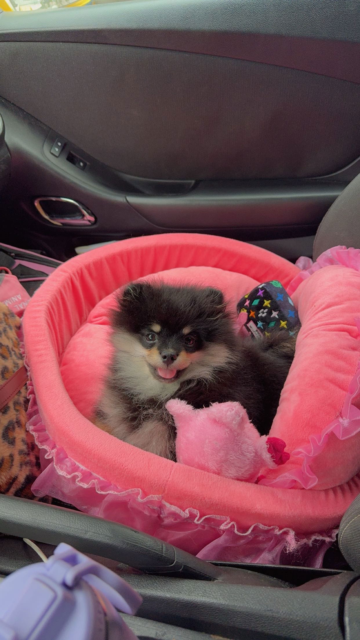 kaygcarlson snapchat image archive image