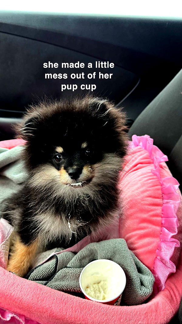 kaygcarlson image ~ Altpins