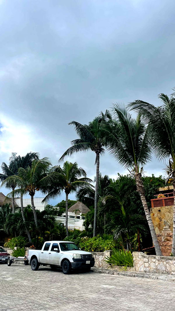 kaygcarlson image ~ Altpins