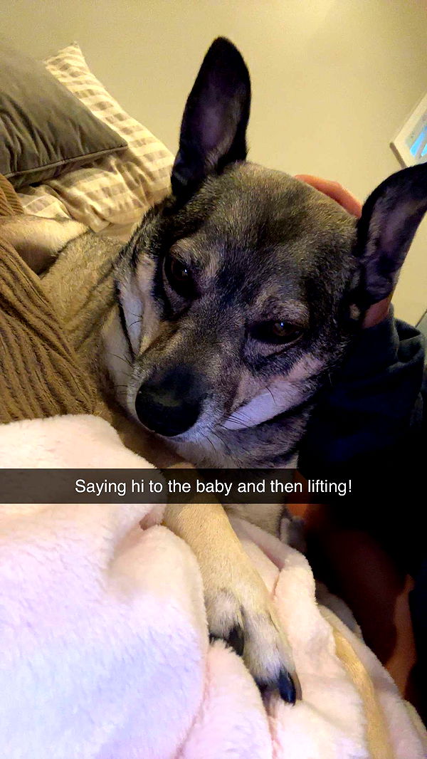 kaylamanouss17 image ~ Altpins