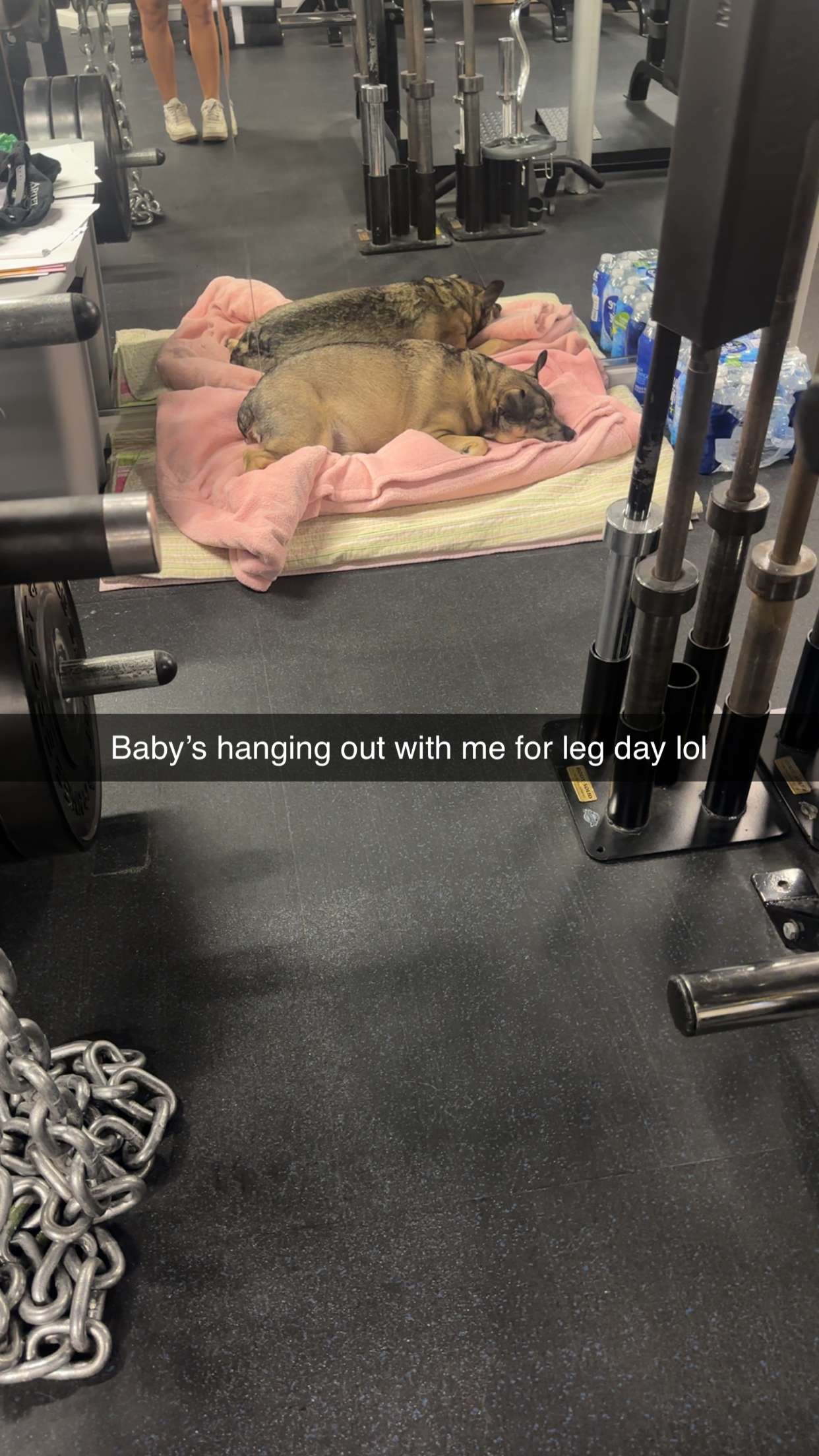 kaylamanouss17 snapchat image archive image