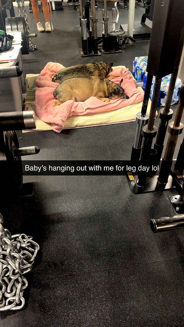 kaylamanouss17 image ~ Altpins