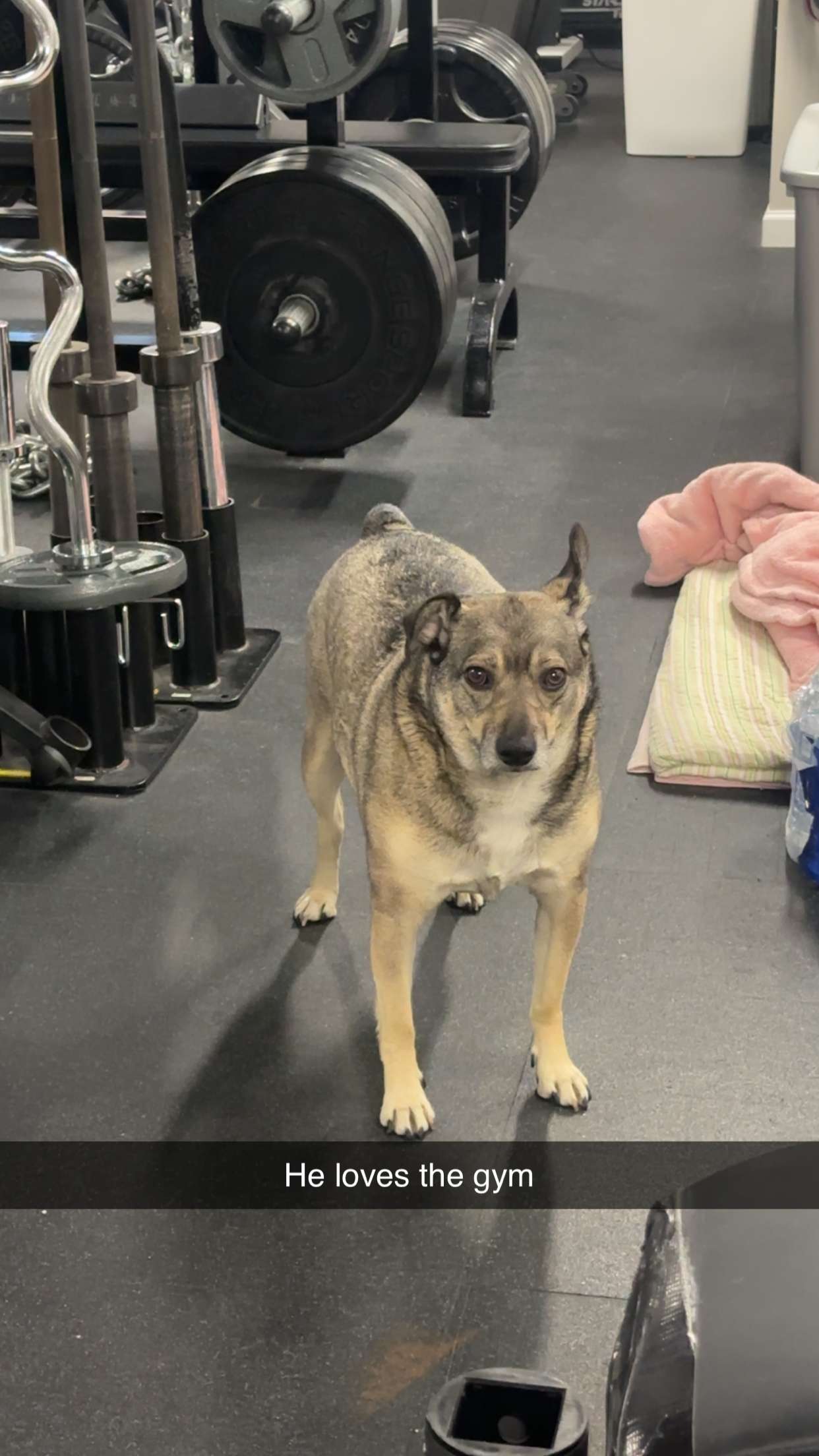 kaylamanouss17 snapchat image archive image