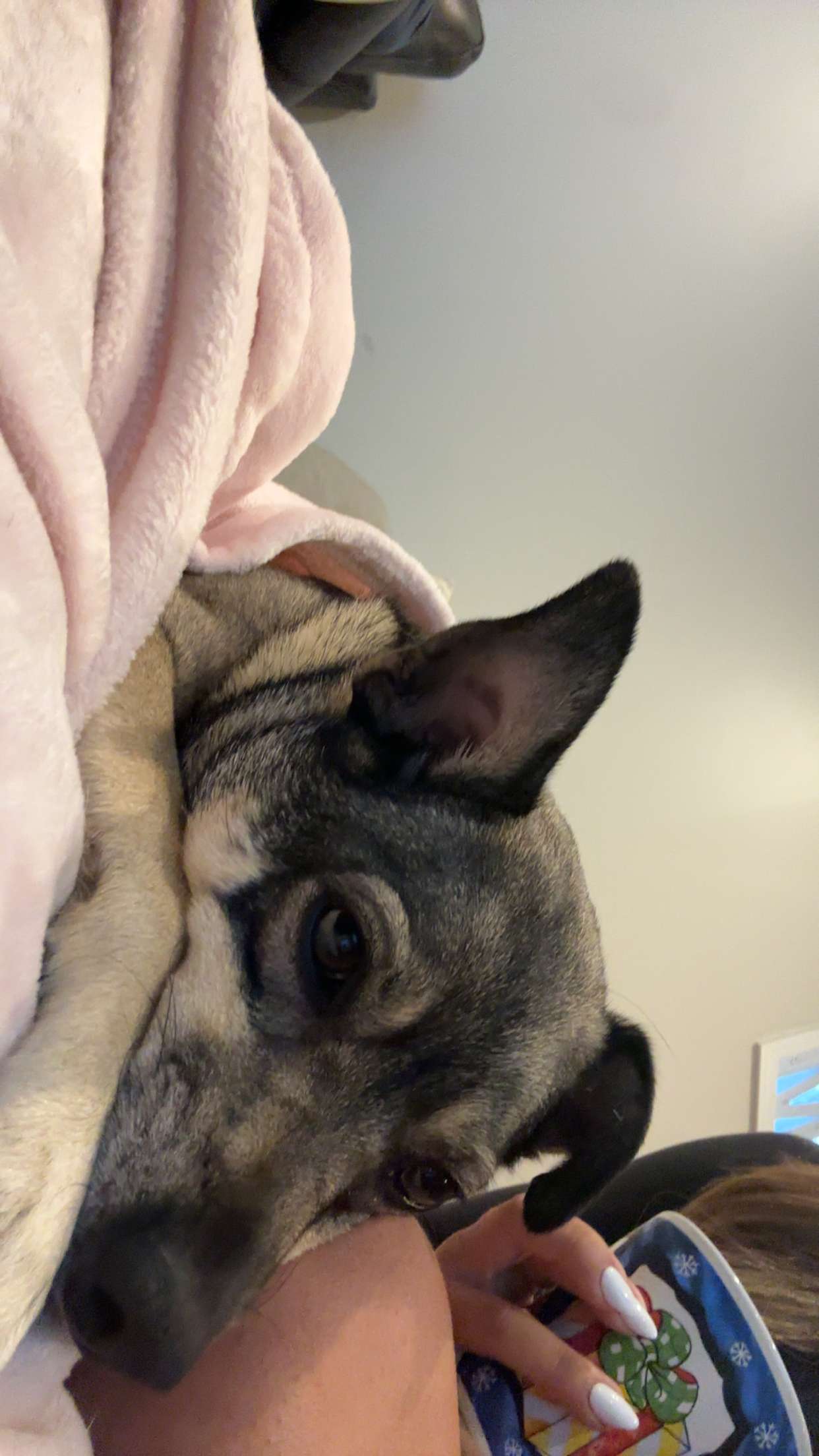 kaylamanouss17 snapchat image archive image