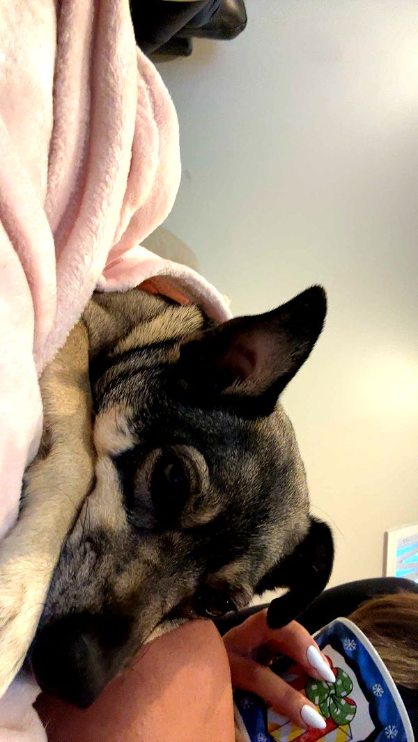 kaylamanouss17 image ~ Altpins