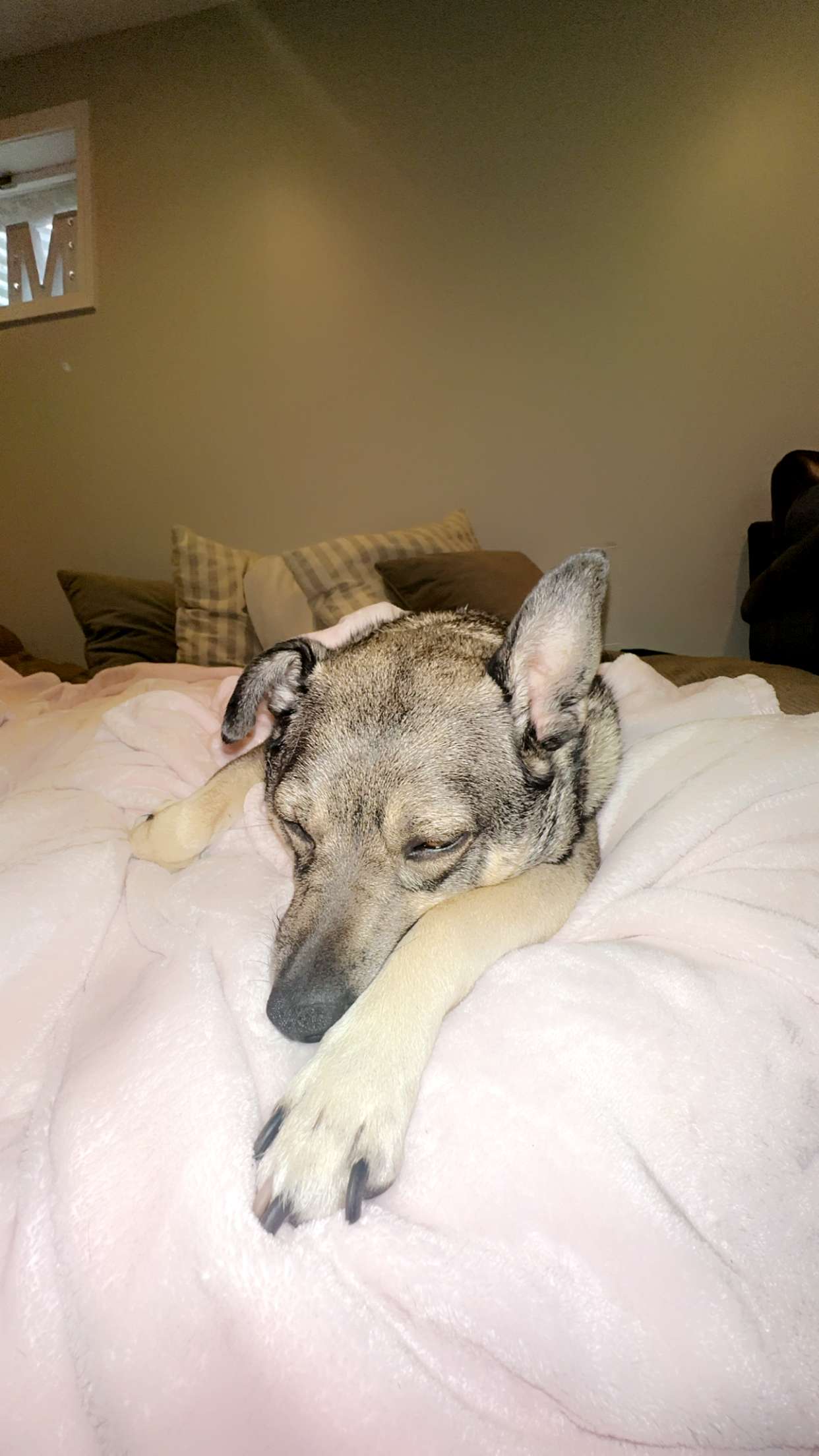 kaylamanouss17 snapchat image archive image