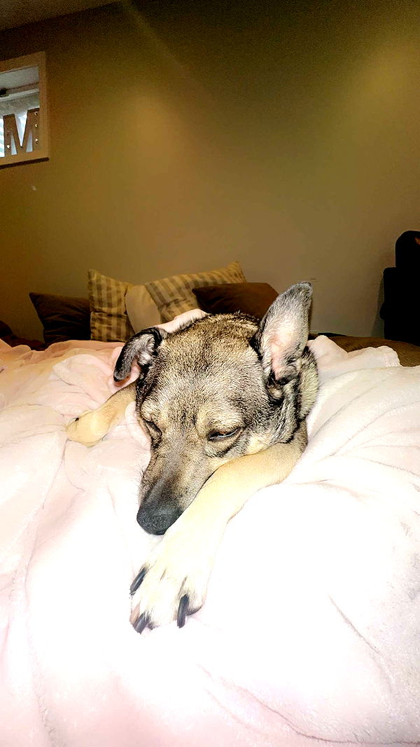 kaylamanouss17 image ~ Altpins