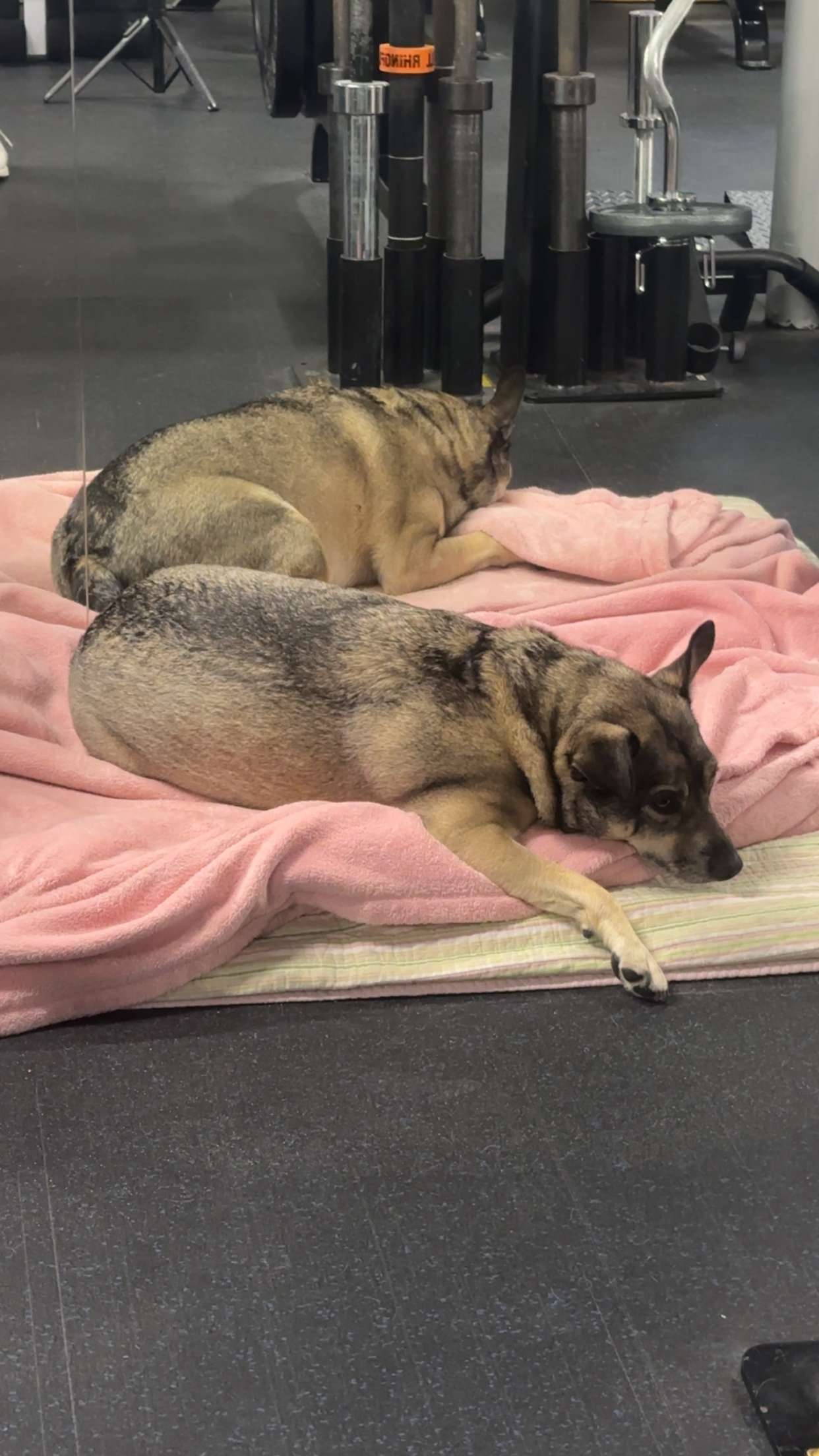 kaylamanouss17 snapchat image archive image